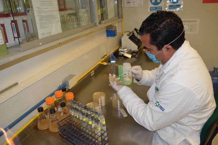 Investiga Salud posible caso de Zika en el sur de Tamaulipas