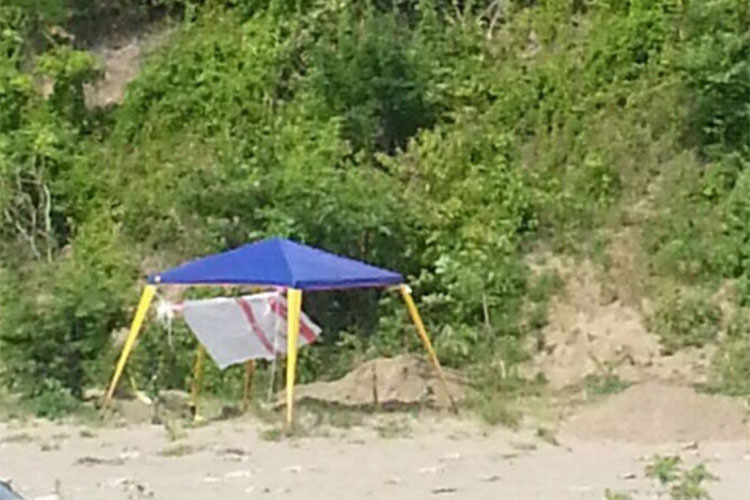 Hallan fosas clandestinas en Veracruz, suman 38 hasta ahora