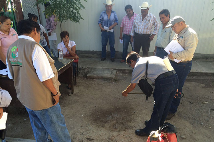 Fumigan contra el dengue, zika y chikungunya en ejidos