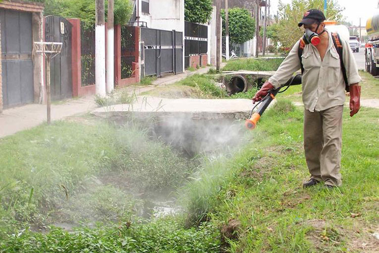 Reporta salud disminución de casos de Dengue