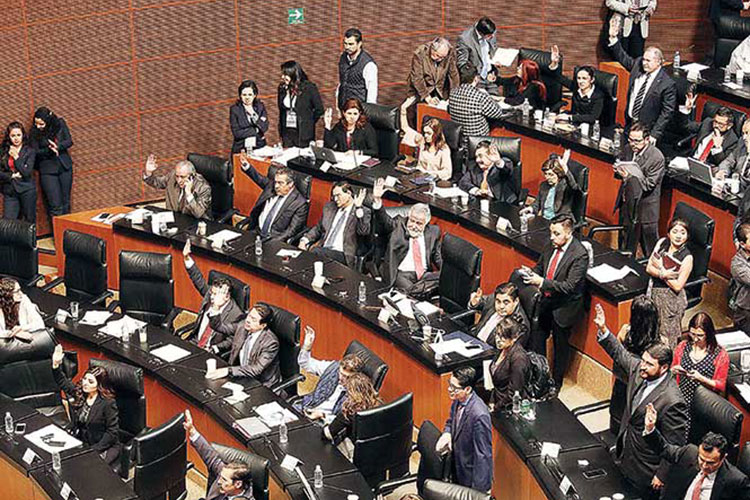 Senado no presenta informes de compras