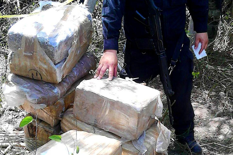 Asegura policía de Tamaulipas 292 kilos de marihuana en Reynosa