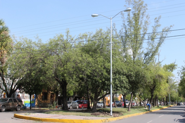 Nuevo Alumbrado Público para el primer cuadro de la ciudad