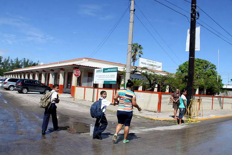 Lluvias y grilla ausentan al 60% de alumnos