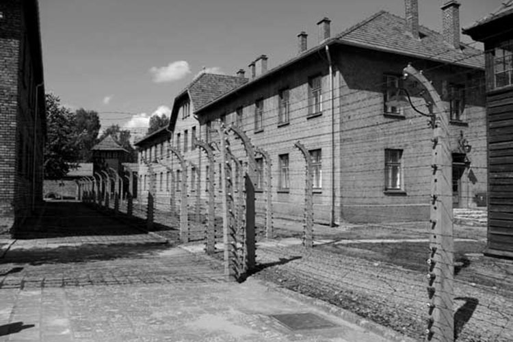 Hallan huesos humanos de época nazi en Berlín