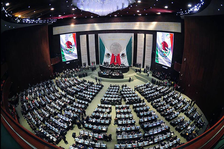 camara de diputados federal