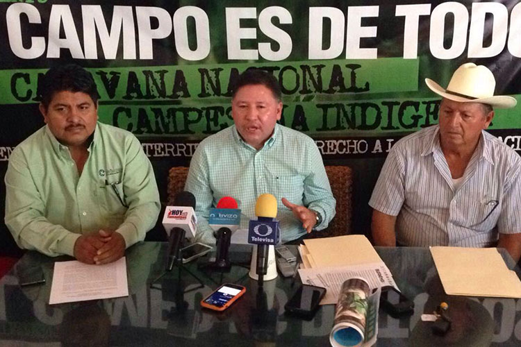 Anuncian posible formación de autodefensas al sur de Tamaulipas