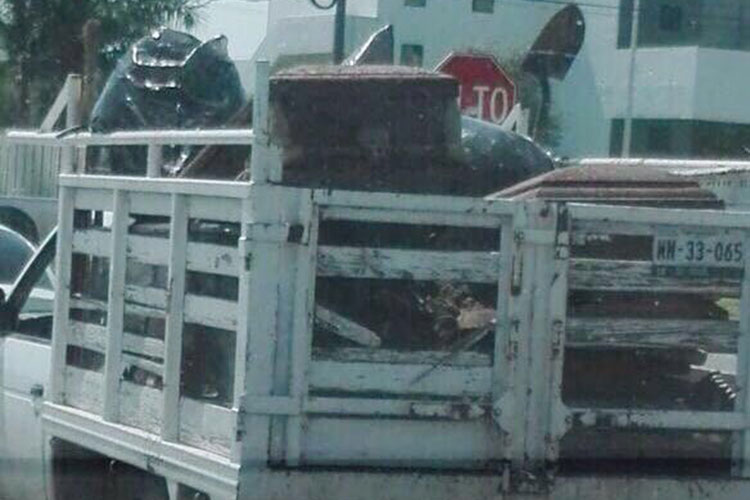 Tiran féretros a la basura