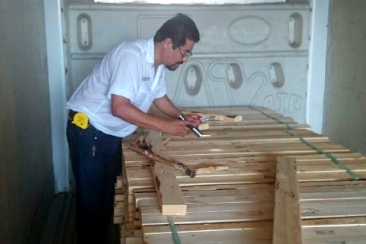 Evita PROFEPA ingreso de plaga en madera procedente de EU