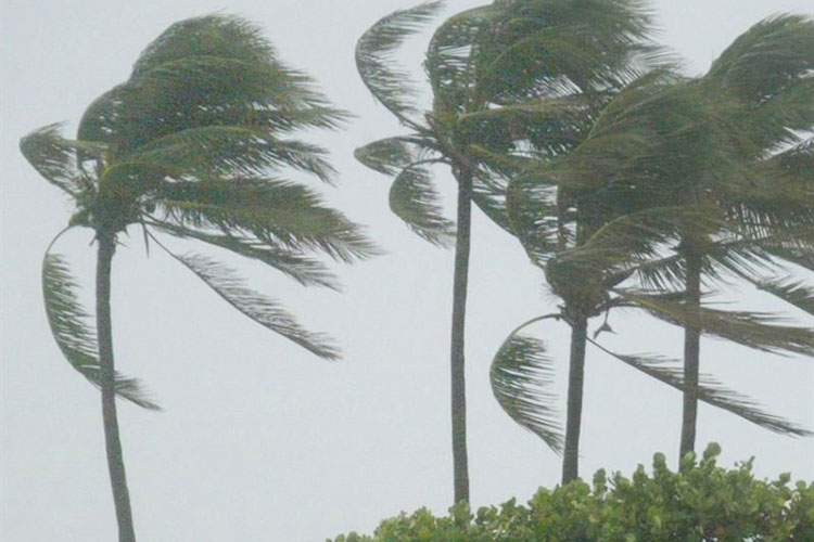 Más de 100.000 personas aún sin energía tras el paso de Hermine por Florida