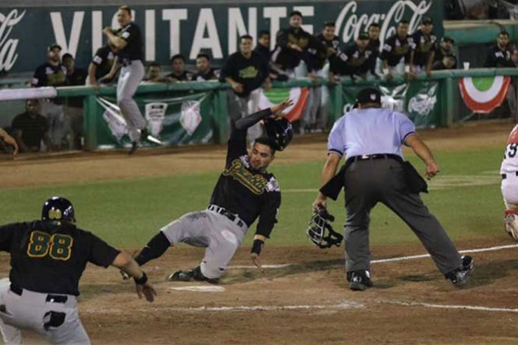 Pericos picotea a Toros