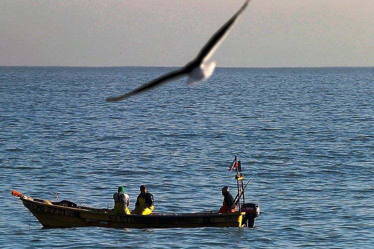 …Pero en matamoros aparecen peces muertos