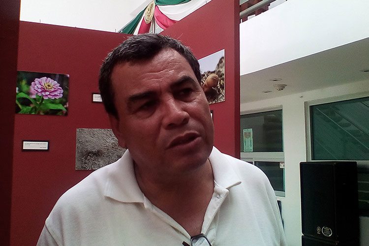 Escuelas de Madero continúan afectadas por las lluvias