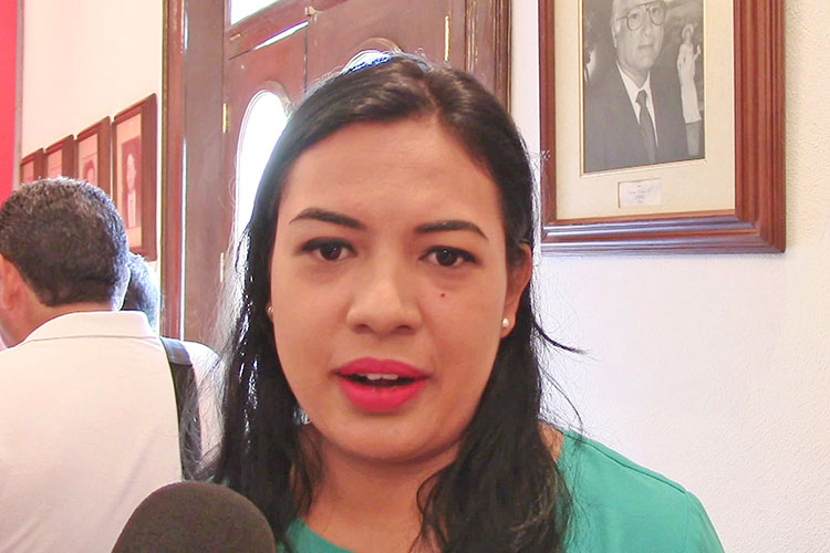Busca Itzcalli Anzures comisión de Educación en Cabildo
