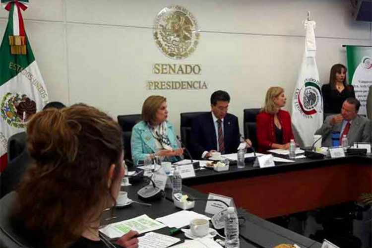 Senado ratifica a Arely Gómez como titular de la SFP