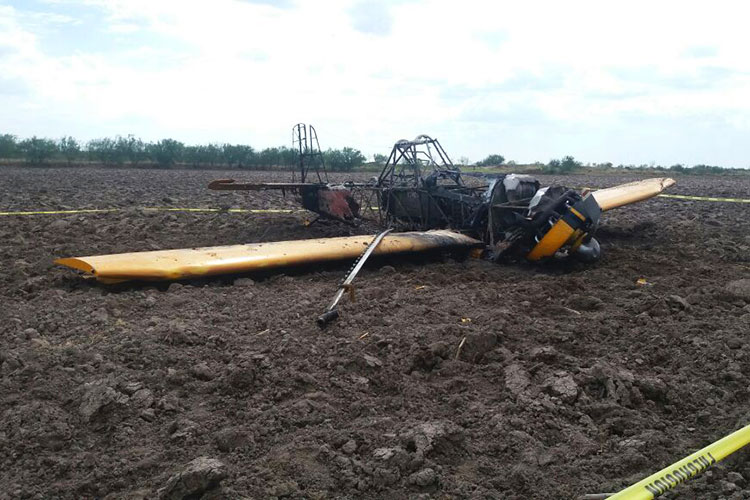 Avioneta se desploma; muere piloto