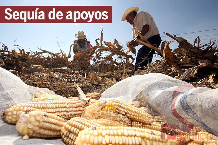 Irritación en el campo por deuda a productores