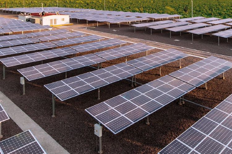 Es Tamaulipas “blanco” de empresarios que deseen en energías limpias