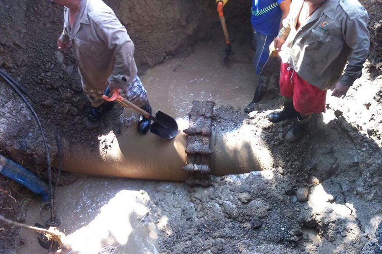 Raíces de árboles revientan tuberías de agua; restablecen suministro