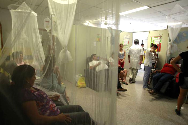 Reportan 531 nuevos casos de zika en México