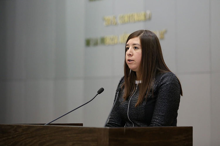 Designa Congreso nuevas representaciones