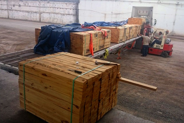 Decomisan madera con plaga en la frontera de Matamoros