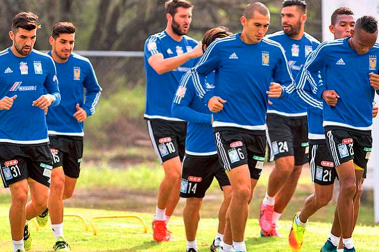 Tigres tendrá especial atención en Boselli