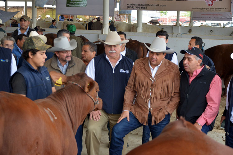 Gobierno de Tamaulipas fortalece Programa de Mejoramiento Genético