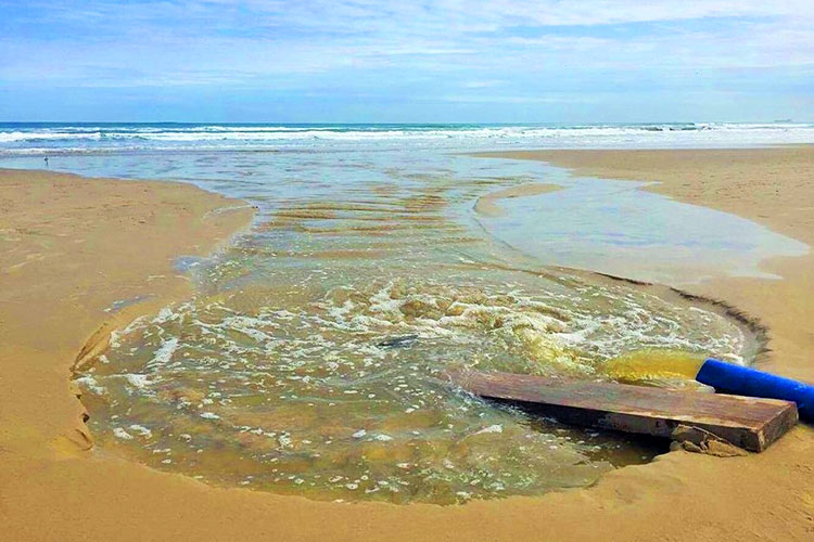 Comerciantes contaminan Playa Miramar con aguas negras