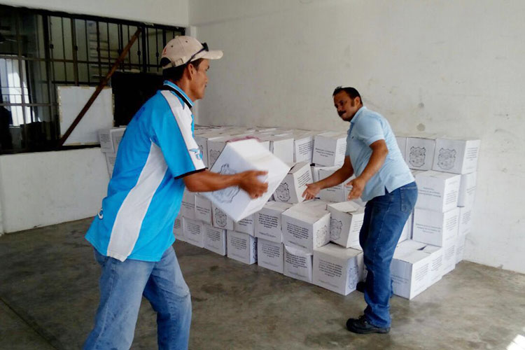 En espera 380 mil tamaulipecos para apoyos en despensas