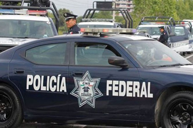 Refuerza Policía Federal tareas de seguridad en Guerrero