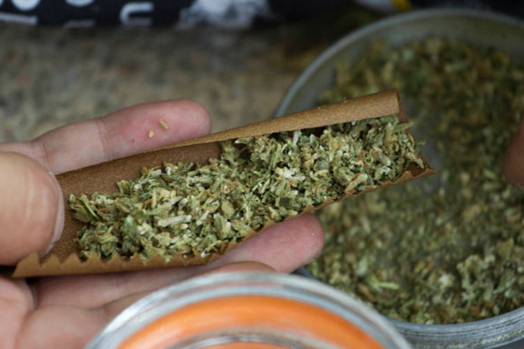 Si los votantes lo aprueban, 25% vivirá en zonas donde la mariguana es legal