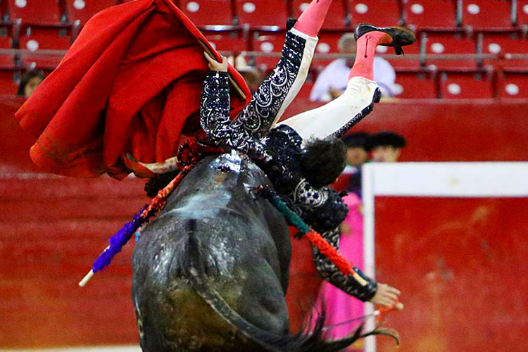De Ávila y Martínez se recuperan de cornadas