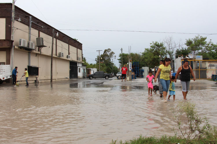 Reynosa se declara en alerta por estragos del frente frio número 6
