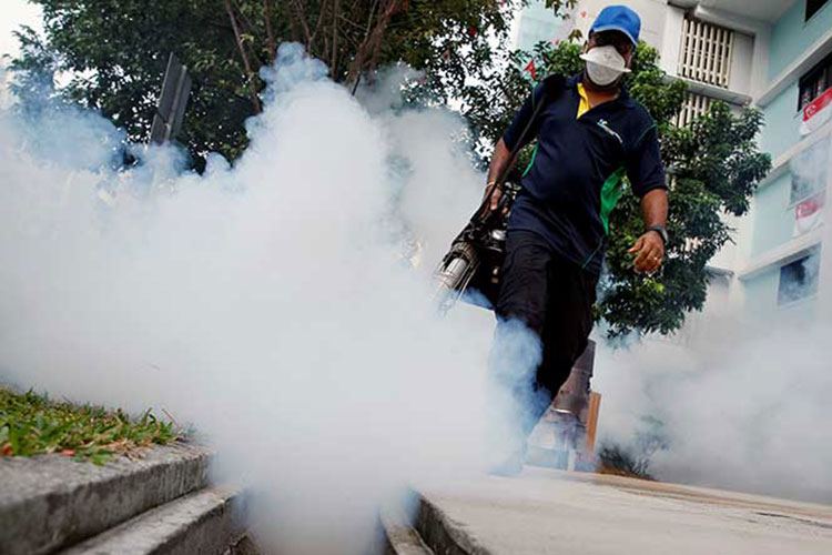 Prevé OMS una lenta llegada de cura contra el Zika