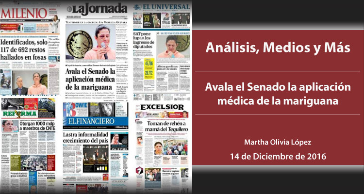 Avala el Senado la aplicación médica de la mariguana