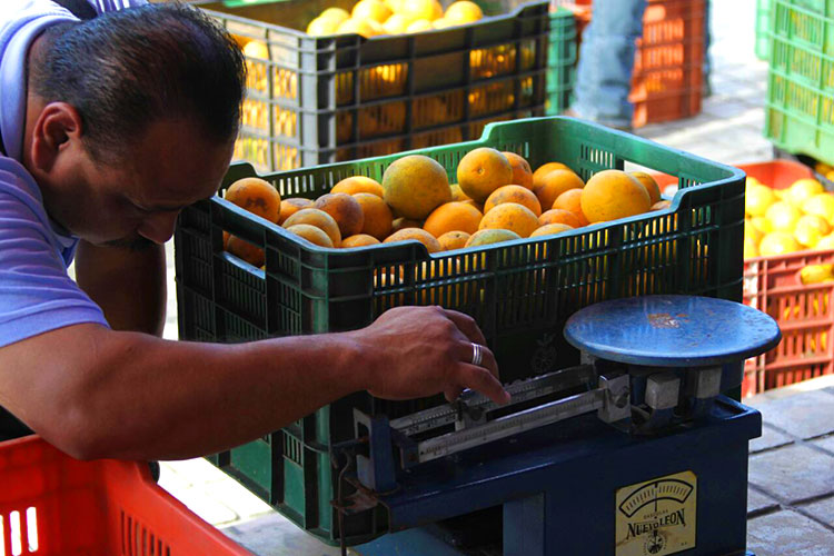 Citricultores donan 20 mil kilos de naranja al Sistema DIF Tamaulipas
