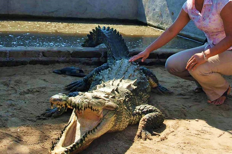 Municipios del sur rechazan  financiar operatividad de la UMA