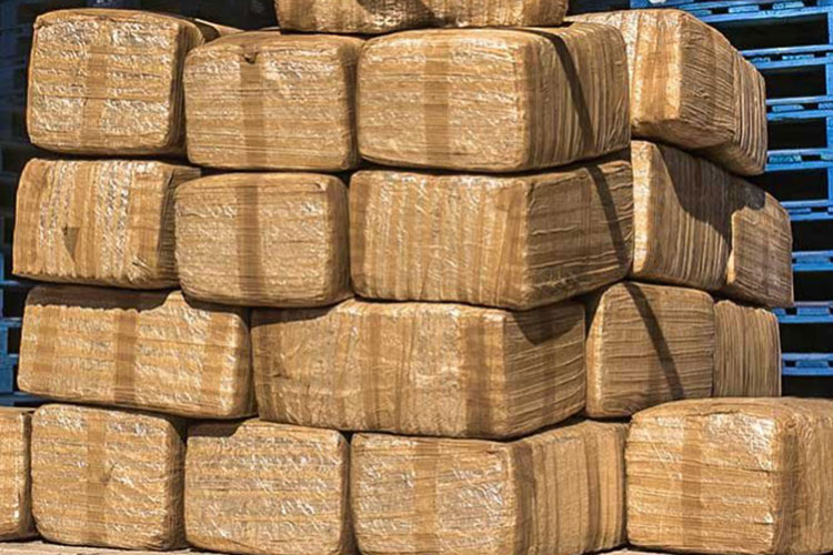 Aromatizan mariguana para ‘sacarle vuelta’ a autoridades