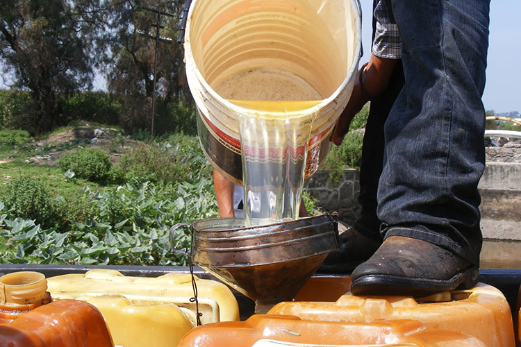 Demanda sector privado blindaje productivo a la industria nacional