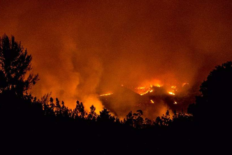 Colombia ofrece a Chile apoyo para combatir incendios forestales
