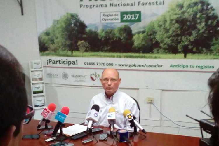 Ocupa Tamaulipas primer lugar en ausencia de incendios