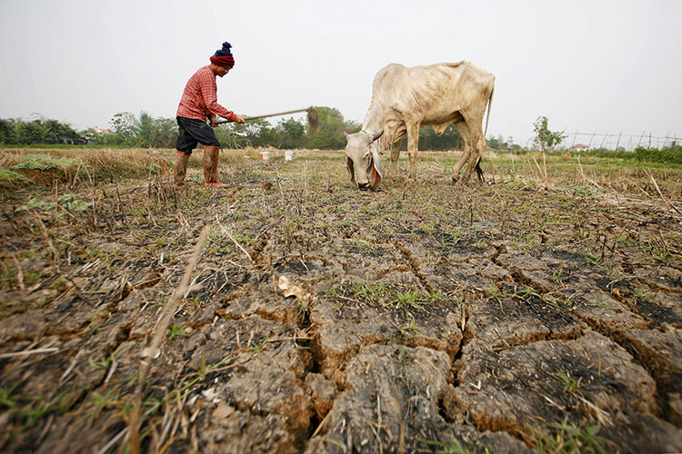Se declaran en alerta campesinos por sequía en Reynosa