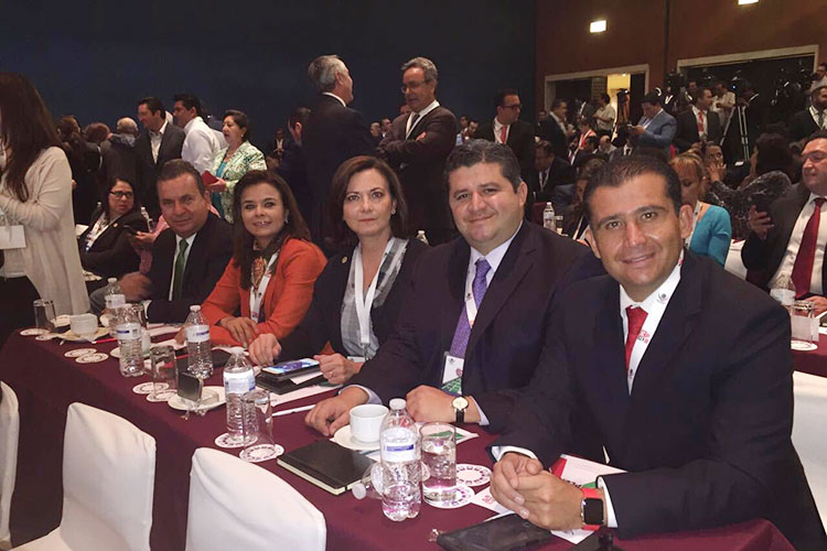 Multan a Paloma Guillén por no trabajar como Diputada Federal