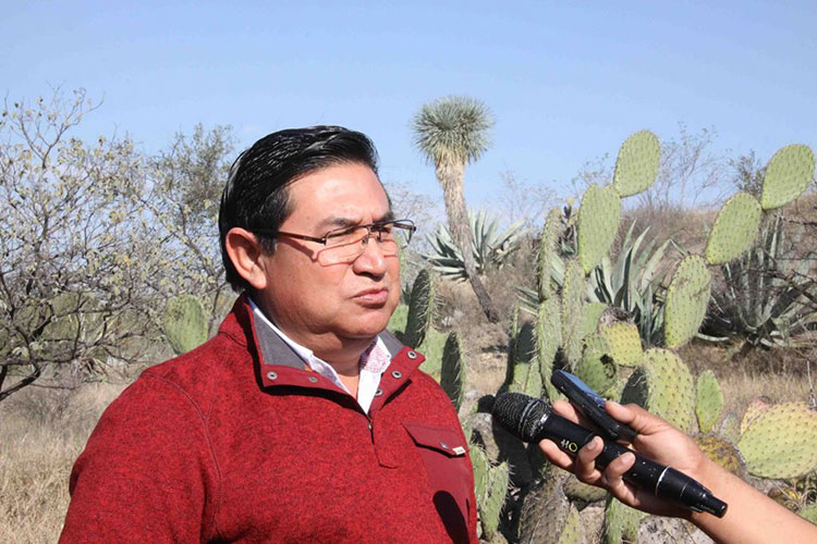 Proyecta UAT corredor ecológico de cactáceas