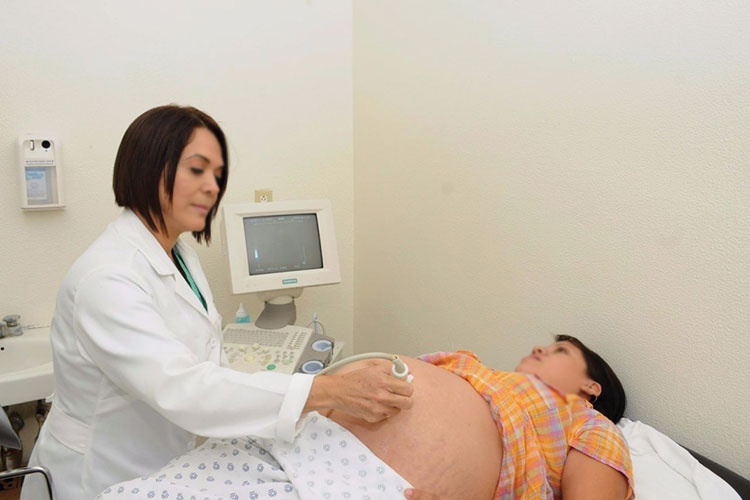 Proponer dar cuatro meses de permiso por maternidad