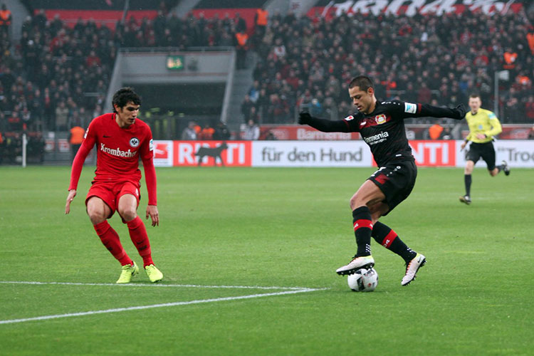 Vuelve “Chicharito” y anota un doblete con el Bayer Leverkusen (Video)