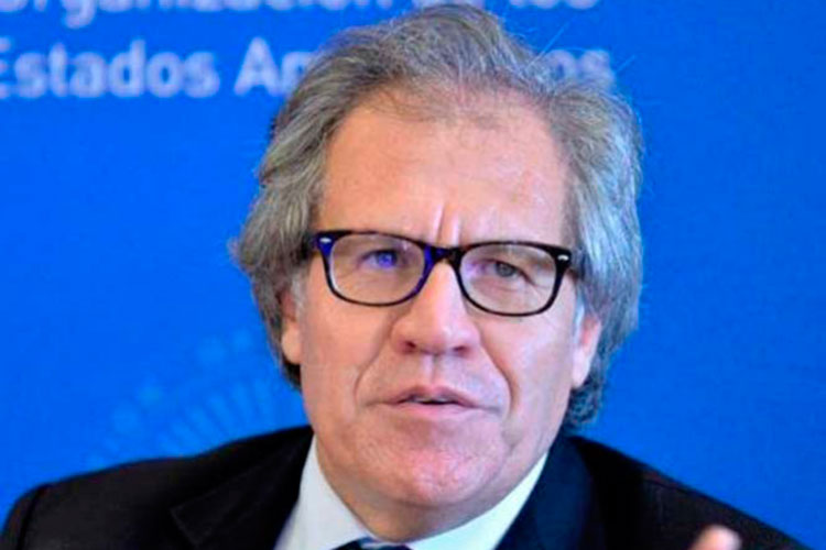 Muro de Trump no sólo divide a México y EU, sino a toda AL: OEA