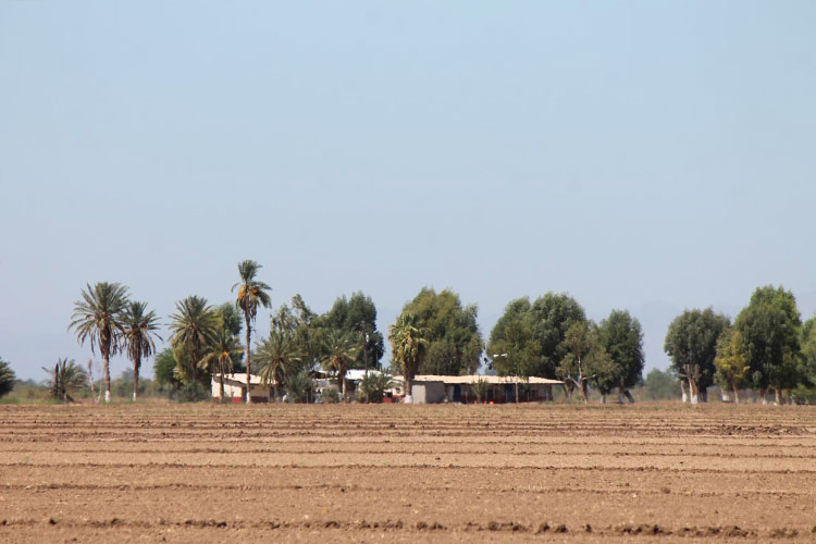Disminuye abandono de ranchos en Tamaulipas