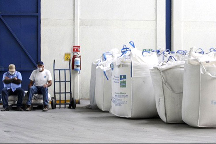 Freno a exportación de azúcar deja 159 mil tons en Tamaulipas